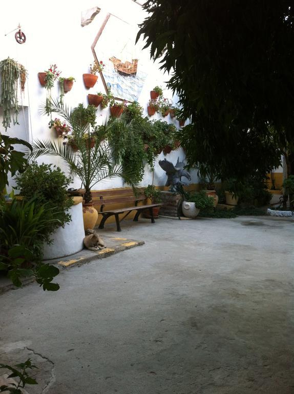 Patio Das Flores Ferreira Do Alentejo Bagian luar foto