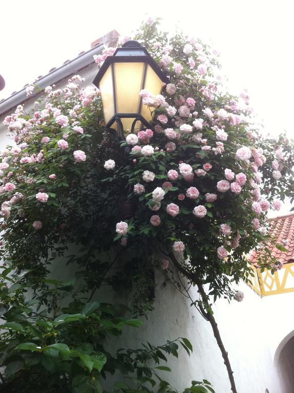Patio Das Flores Ferreira Do Alentejo Bagian luar foto
