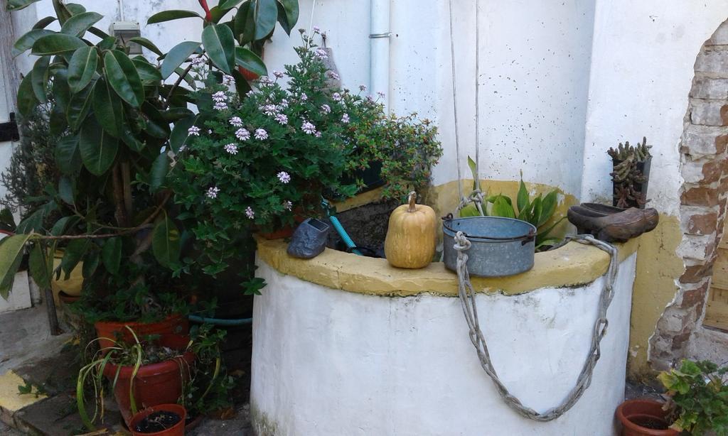 Patio Das Flores Ferreira Do Alentejo Bagian luar foto